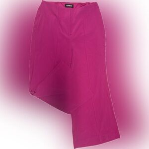 Express Women's Fuchsia Wide Leg Pants | Sz 2